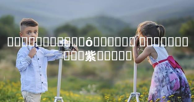 ����������ʲô������ ʵ������